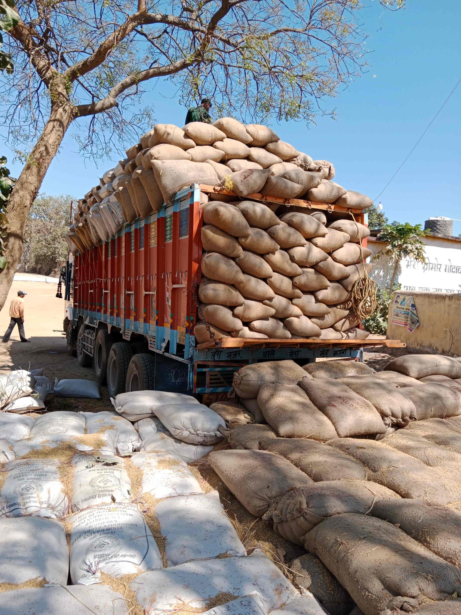 Product being packed for export